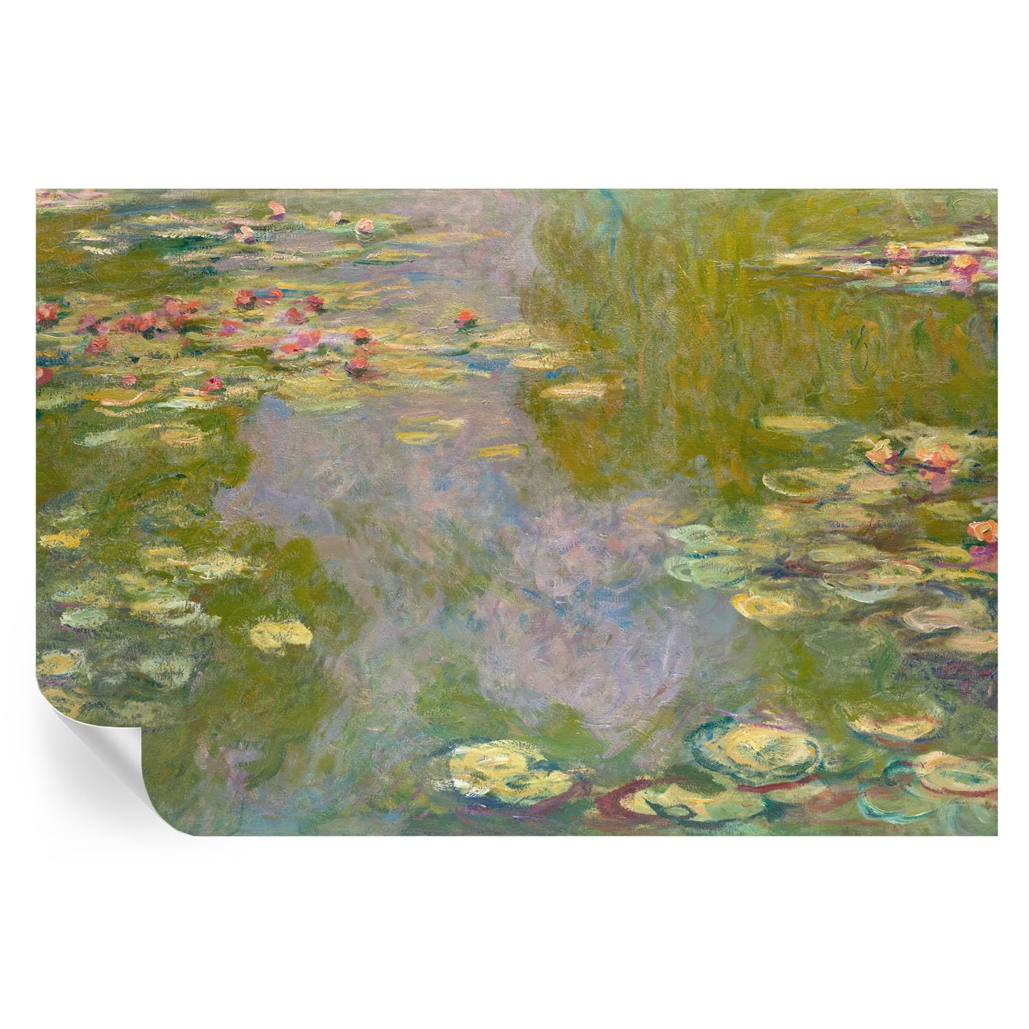 Vinilos de nenúfares 104x70 cm con revestimiento duradero y lavable para pasillo moderno