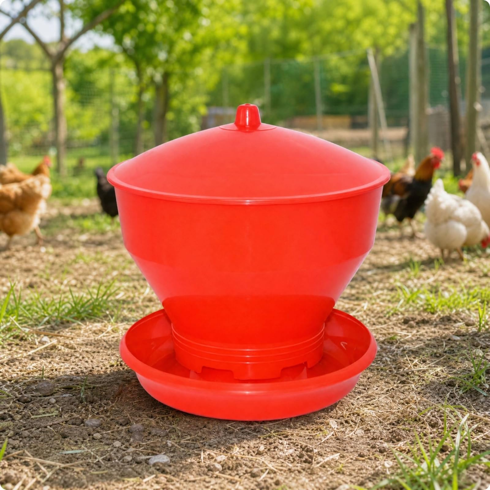 Mangiatoia con Vassoio Circolare e Coperchio Pratico Distributore di Mangime Automatico Pratica per Pollaio, Cortile Domestico, Rosso