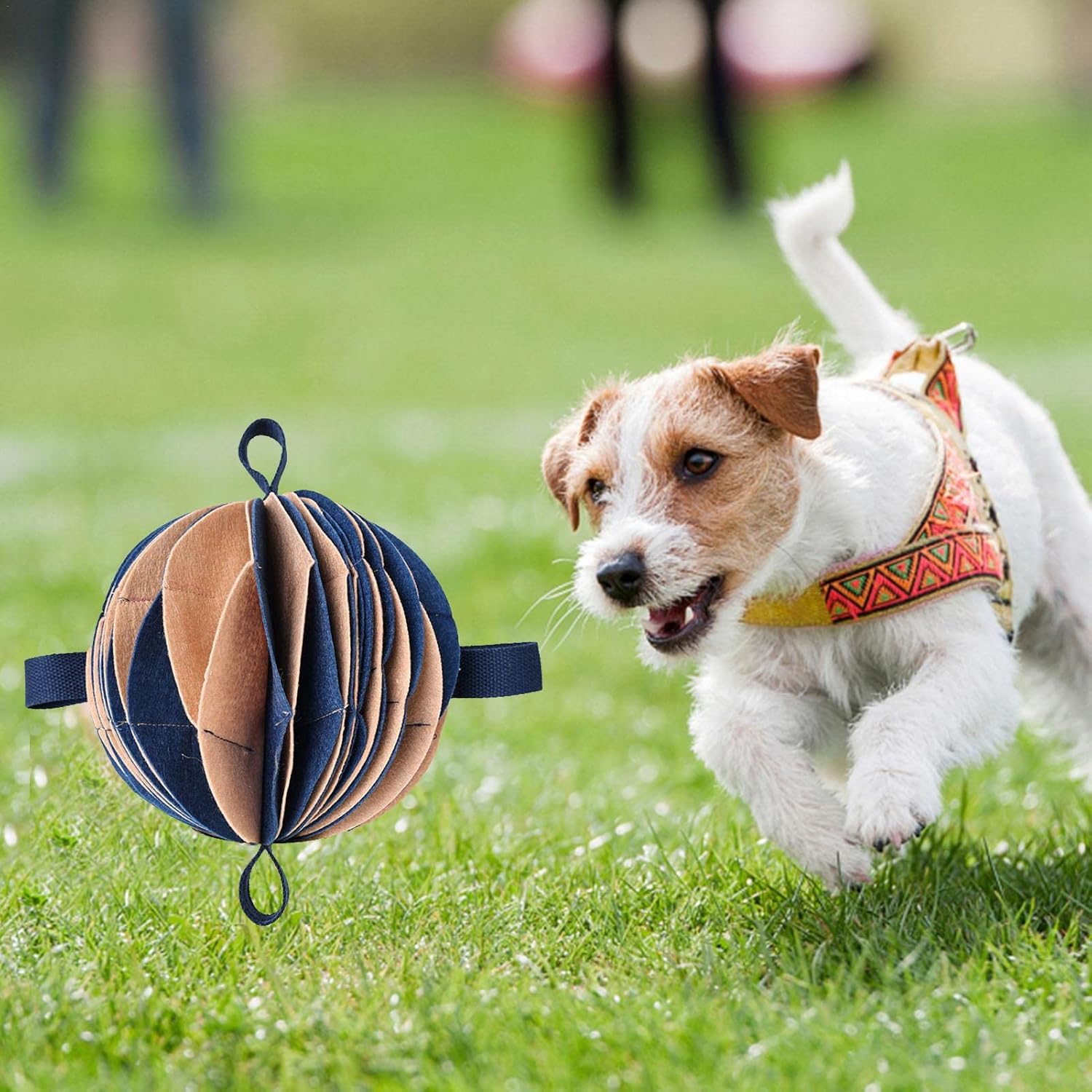 犬のインタラクティブな噛むおもちゃ ドッグボールおもちゃトリートディスペンス Suibian 噛む 歯が生える 噛むのに安全な子犬の歯が生えるおもちゃ フェッチするためのインタラクティブな面白いペットのおもちゃ 犬のインタラクティブな噛むおもちゃ ドッグボールおもちゃトリートディスペンス Suibian 噛む 歯が生える 噛むのに安全な子犬の歯が生えるおもちゃ フェッチするためのインタラクティブな面白いペットのおもちゃ