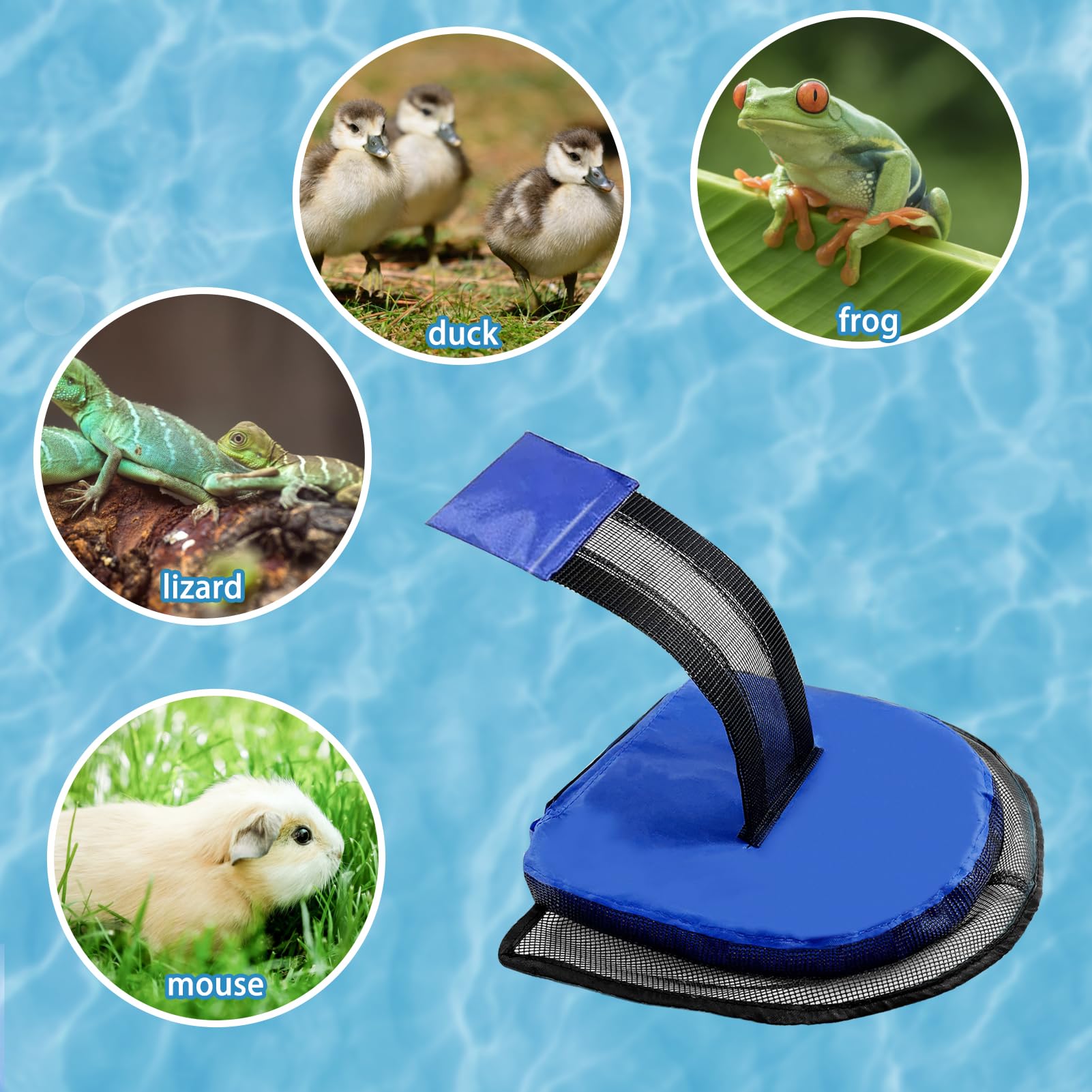 2-Pack Pool Escape Ramps For Animals - Floating Frog/Duck/Bird Saver ...