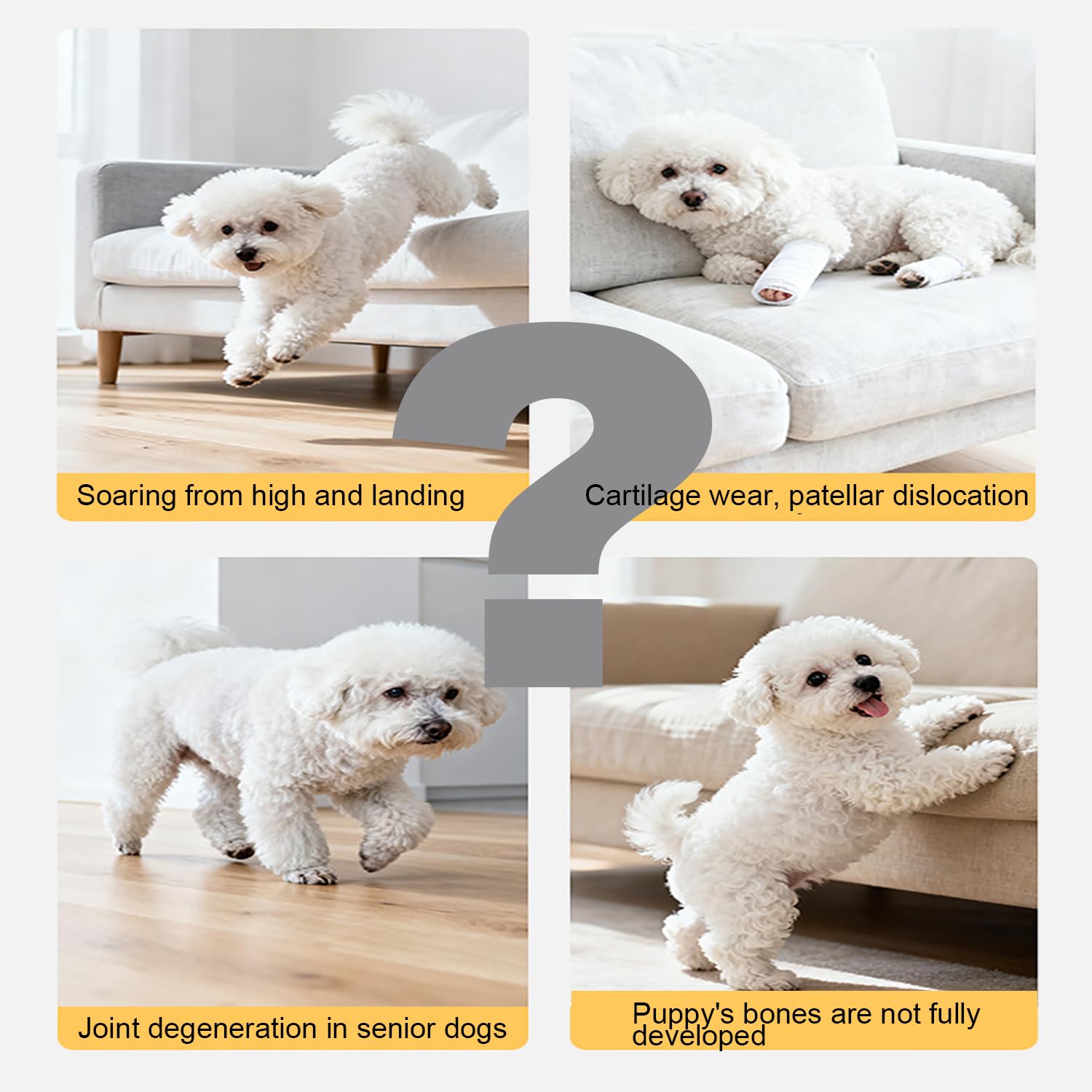 Rampe pour Chien，Siège & Escalier pour Chien Antidérapant 2 en 1，Rampes Multifonctionnelles Légères pour Chiots pour Lit，Mobilier Pliable et Esthétique pour Intérieur