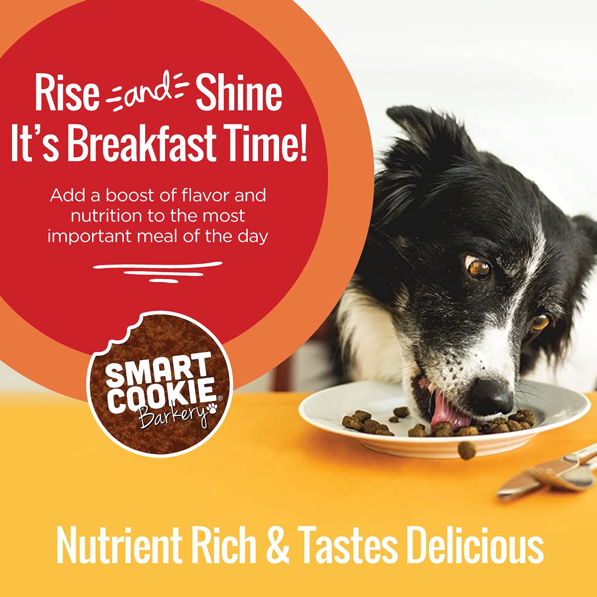 What Can I Feed My Dog For Breakfast