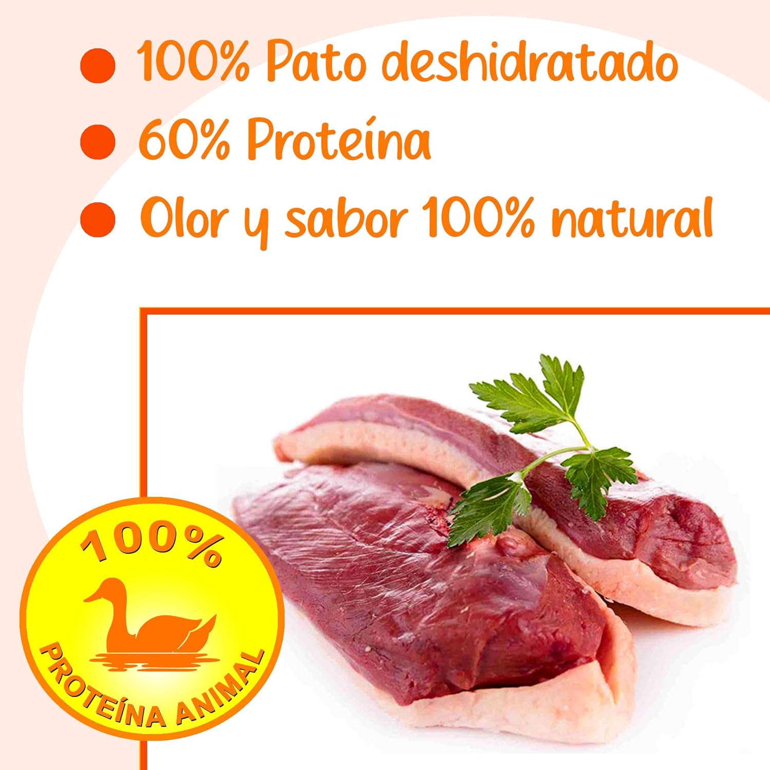 71z+5K9fnjL. AC SL1500