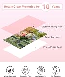 Rechange pour Canon Selphy CP1300 Papier Photo et Cartouche, pour Canon Selphy CP1500 CP1200 CP1000 CP910, Compatible KP-108IN 3115B001(AA), 3 Cartouche Imprimante et 108 Feuilles Papier (100x148mm) - 5