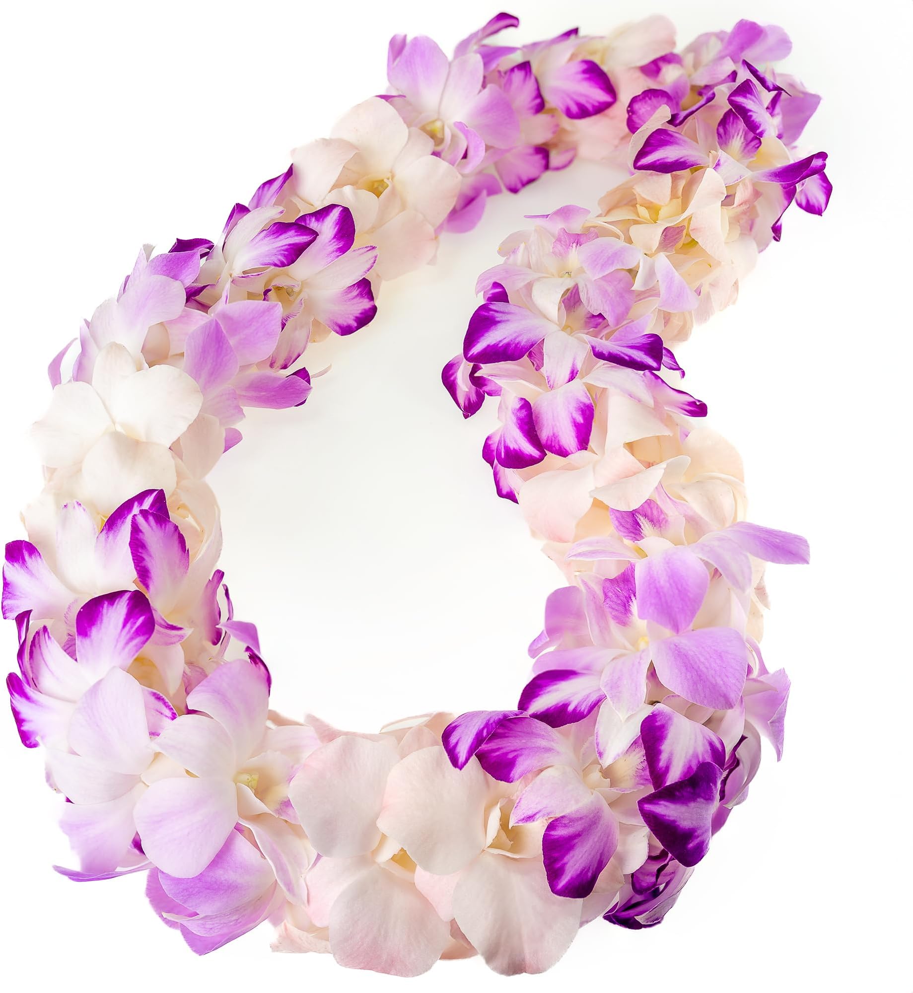 GenericFresh Cut Orchids Flower Leis Pink, Fresh Orchids, Gorgeous Orchids: Long-lasting leis made of fresh cut purple, lavender, and pink orchids, for graduations, party decoration or gifts