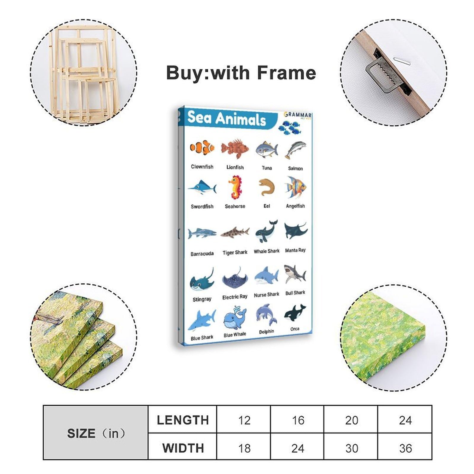 Lienzo decorativo para pared, diseño de Enciclopedia de animales marinos, 20 x 30 pulgadas (50 x 75 cm)