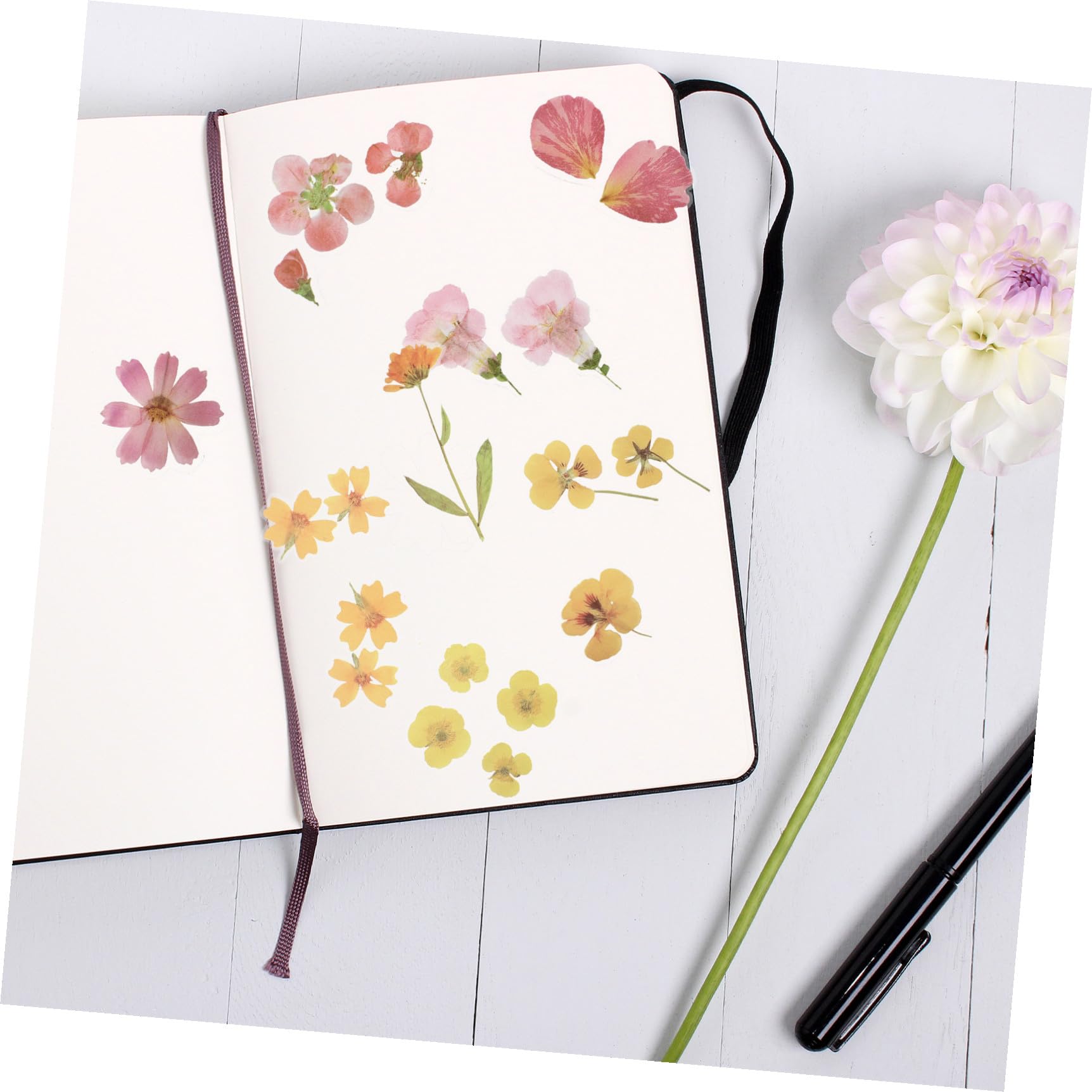 Gadpiparty 20 Set Adesivi Floreali Colorati per Scrapbooking Decalcomanie Fai da Te con Fresche Facili da Applicare su Album e Note