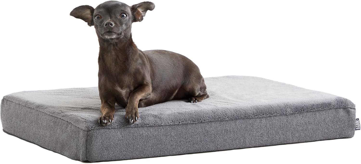 BARK Orthopedic Memory Foam Dog Bed Small Grey - Joint Relief for Puppies, Seniors & Small Breeds, Washable Durable Comfort