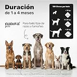 Ver la foto 4