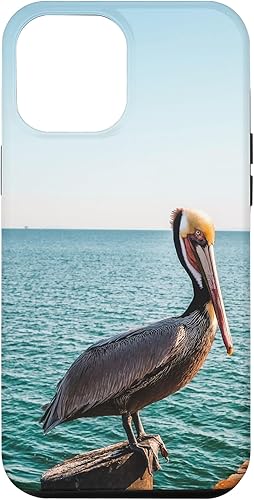 Vista 67 de iPhone 11 Pelican Case