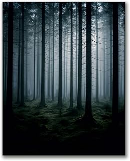 VETEB Paint by Numbers Kit for Adults Beginner Mysterious Dark Forest an Atmosphere Misty Morning Autumn DIY Canvas Paint by Numbers Acrylic Oil Painting for Home Wall Decor Gifts 16x20 Inch