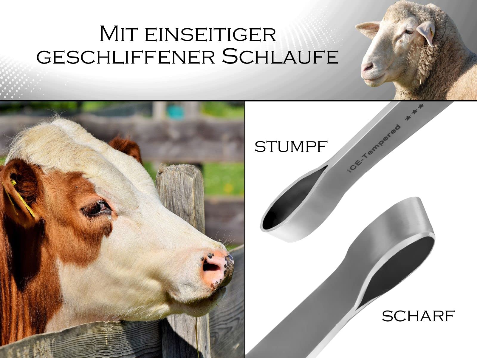 Profi Hufmesser 7-Teiliges Set zur Pferde Hufpflege