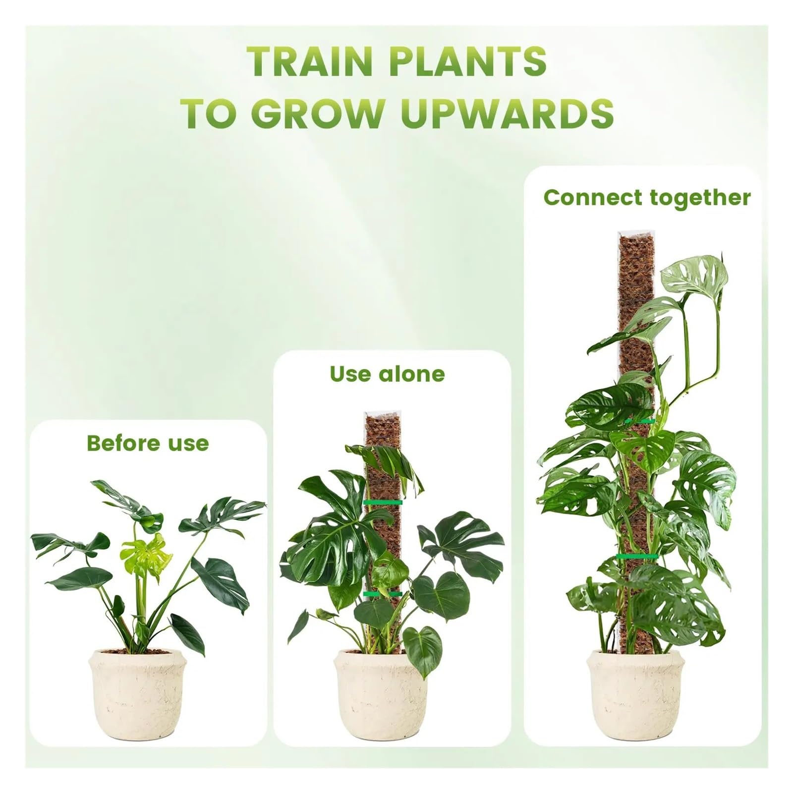 Tuteurs Pour Plantes Poteau en mousse 24/36/48 pouces for Monstera | Grands poteaux en forme de D, plantes grimpantes en Pot, mousse de sphaigne, piquet de croissance de jardin(48inch-4pack)