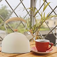 Vista 9 de Vilihkc Hervidor de té de 2.6 litros, tetera para estufa, acero inoxidable de grado alimenticio con mango plegable con patrón de madera, silbato