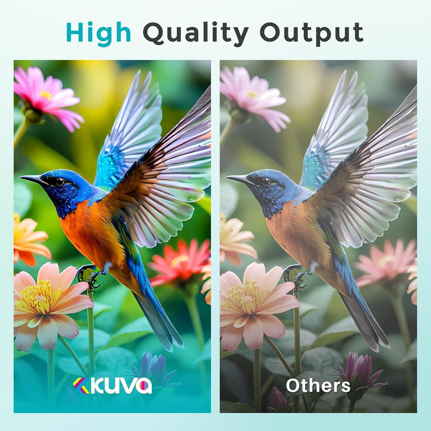 Kuva 245XL 246XL Ink Cartridge Combo Pack Replacement for Canon Ink 245 and 246 PG245 CL246 MX490 TR4520 MG2522 TR4500 TR4520 TS3322 TS3122 TS3320(PG245xl Black, CL246xl Tri-Color)