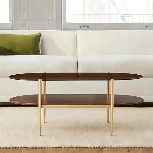 Miniatura 34 de Shrine - Mesa de café rectangular, diseño moderno de mediados de siglo, estructura de 2 niveles, parte superior de vidrio transparente y estante de