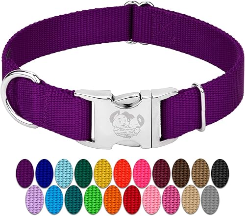 Country Brook Petz Collar de nailon premium para perro con hebilla de metal Vibrante selección de 25 colores Púrpura