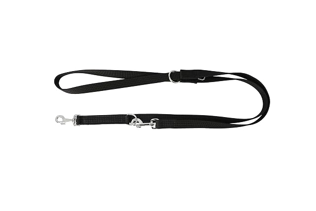 DINGO GEAR Rodillo Ajustable Correa con Cinta