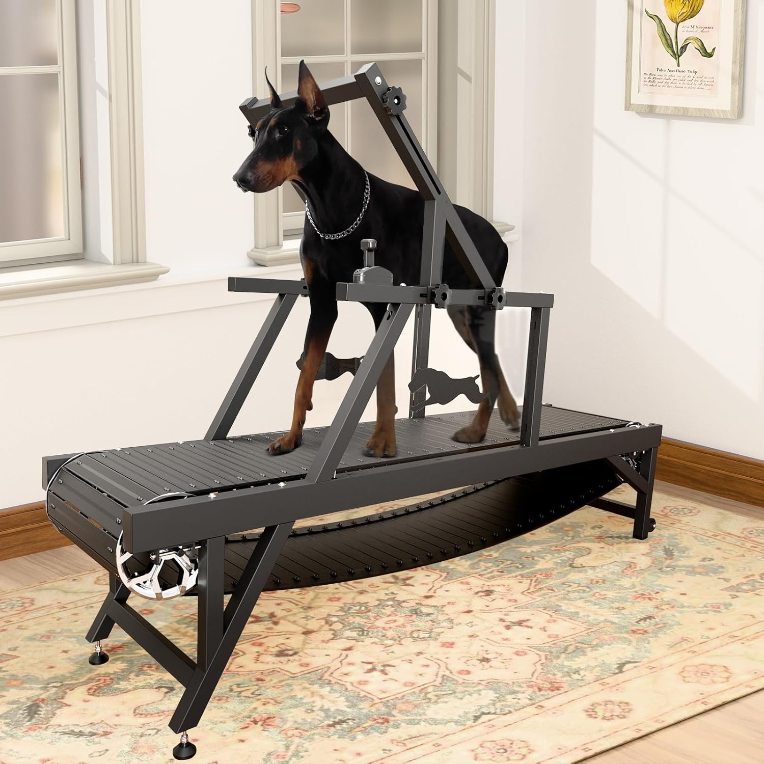 Dog Treadmill, HINXIETIE Dog Slat Mill for Large/Medium Dogs with Brake & Plastic Track, Doggy Treadmill Dog Pacer Treadmill, for Dogs to Keep Active and Fit, Up to 250LBS(Large)
