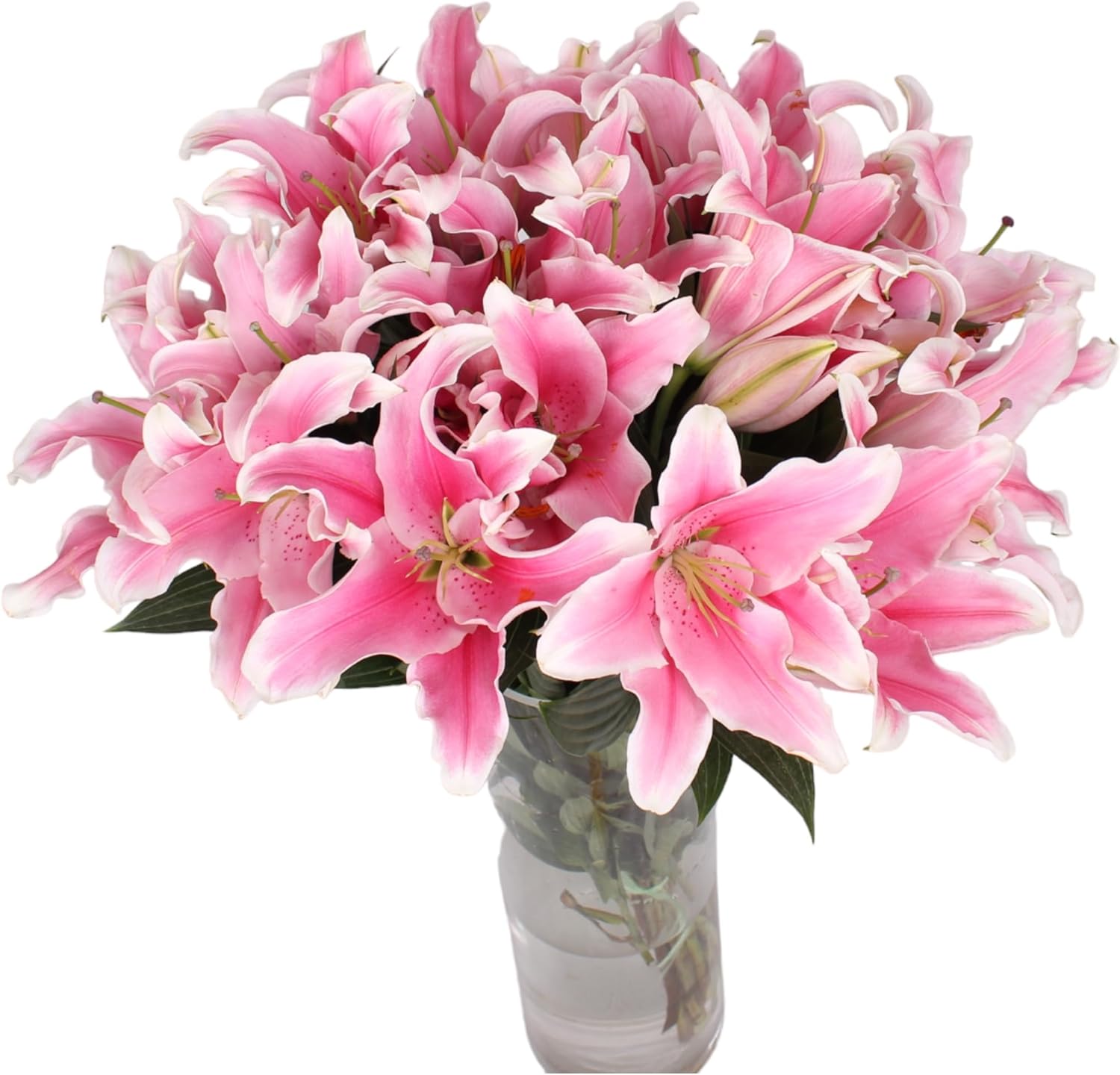 10 Stem Pink Giant Lilies Fresh Cut Flower Bouquet Very Fragrant Gifts for home decoration birthdays anniversaries healing sympathy friendship and love