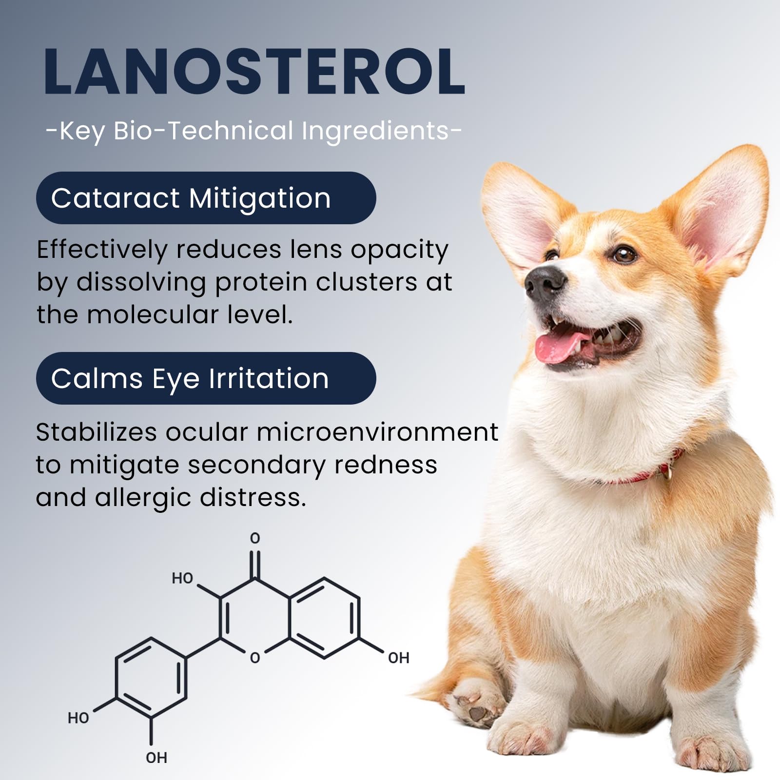 Cataract Drops for Dogs & Cats, Eye Drops for Relieving Itching & Irritation, Vet Recommend Eye Drops for Dogs Eye Infection Treatment, All-in-One Relief for Dryness Pink Eyes Vision Clarity (2 X10ml) — Amazon image 4