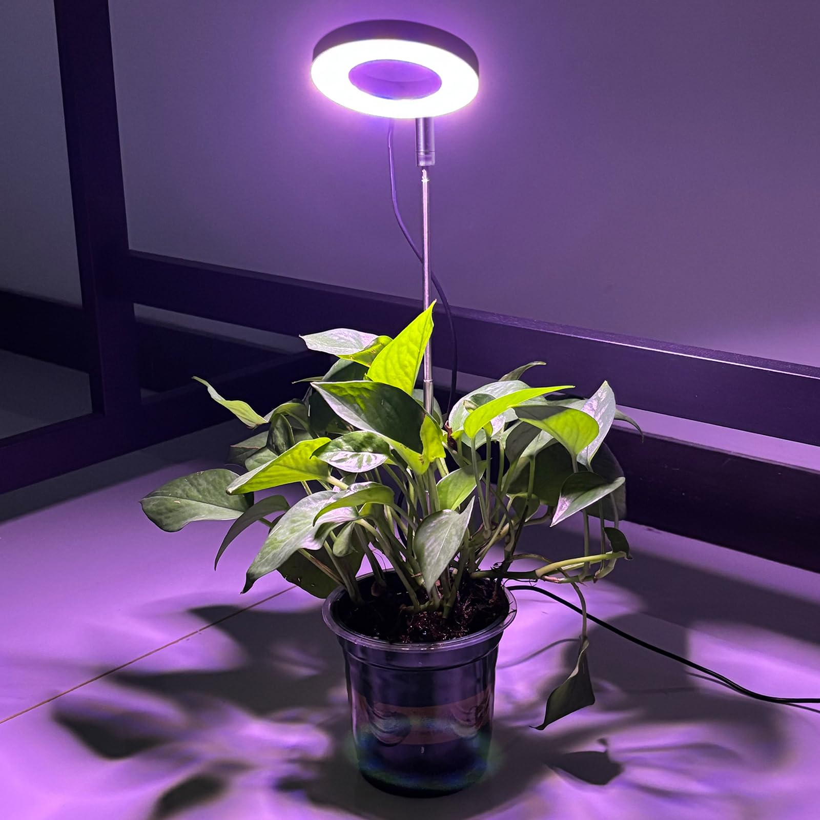CNMTCCO pflanzenlampe,LED-Pflanzenlicht, Vollspektrum-Pflanzenlicht für Zimmerpflanzen, höhenverstellbares LED-Pflanzenwachstumslicht mit USB-Adapter, 3 Lichtmodi, 3/9/12-Stunden-Timer