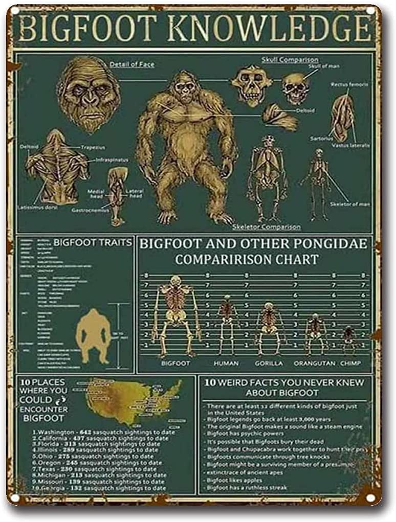 Vintage Tin Sign Metal Sign Bigfoot Knowledge Bigfoot Lover Gift Sasquatch Sign Bigfoot Sasquatch Art Metal Sign Retro Wall Decor for Home Hotel Cafes Gift 8x12inch
