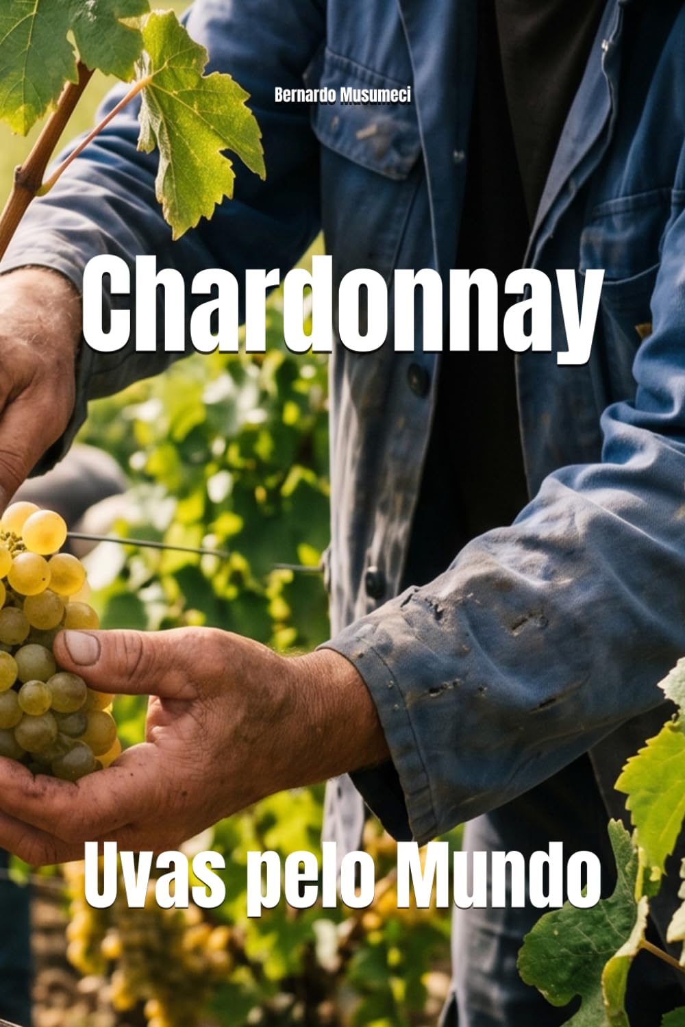 Uvas pelo Mundo: Chardonnay (Wines of the World: France)