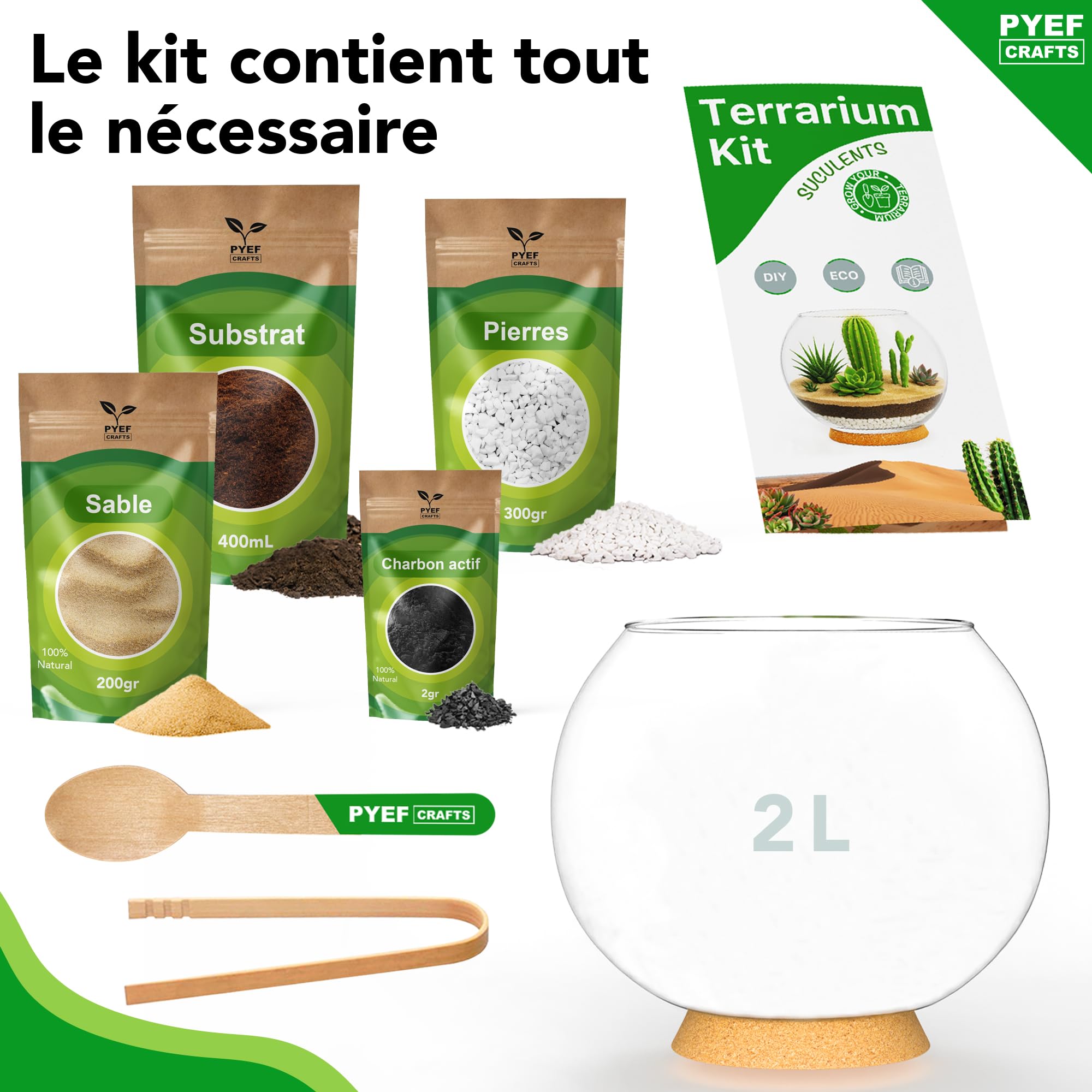Kit terrarium plantes succulentes et cactus DIY - Ecosystème désertique en verre - Aquarium naturel pour plantes souches et cactus - Jardin éternel