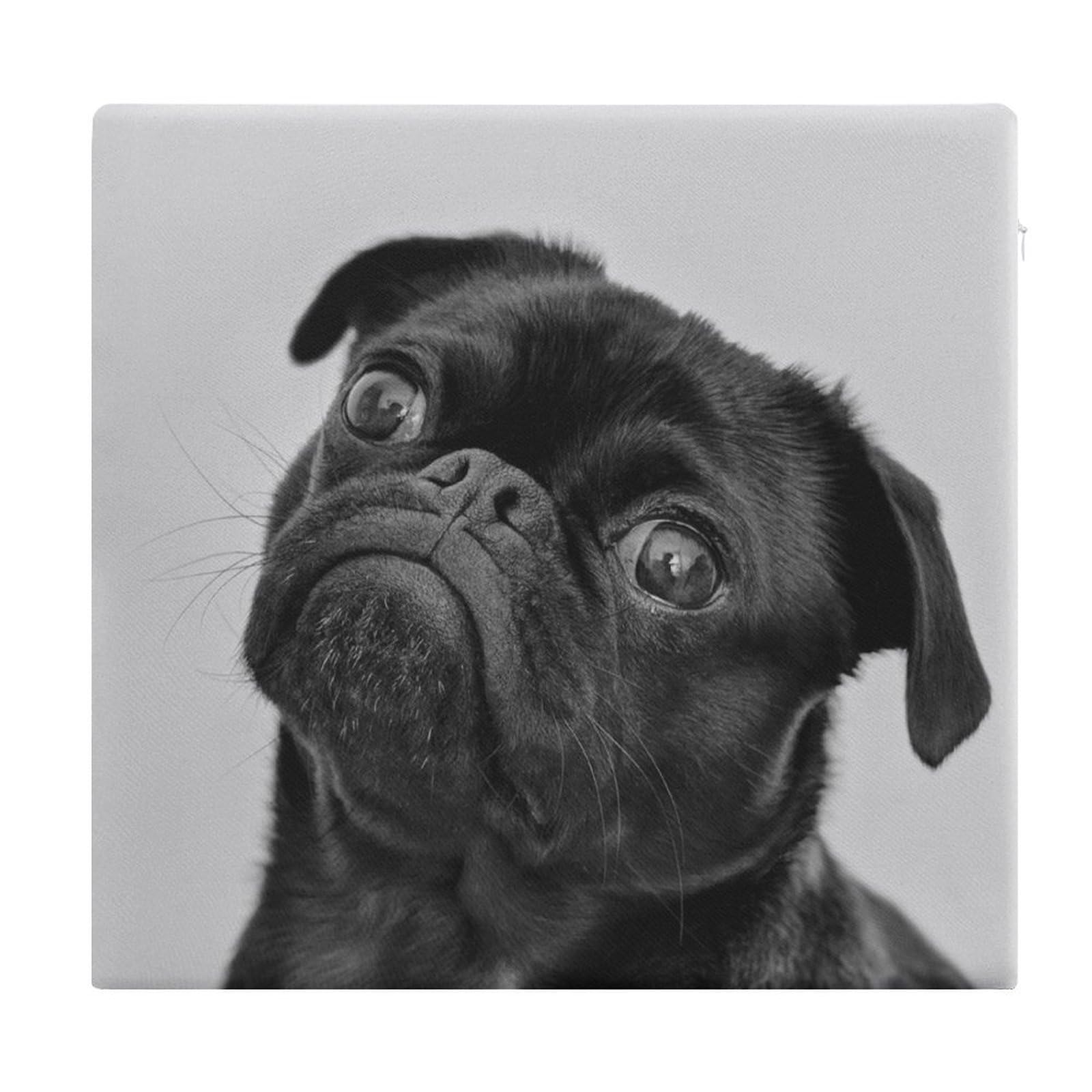 JZemdybill Chair Pad, Cute Black Pug Dog Seat Pad, Square Chair Cushion for Yoga Living Room Balcony