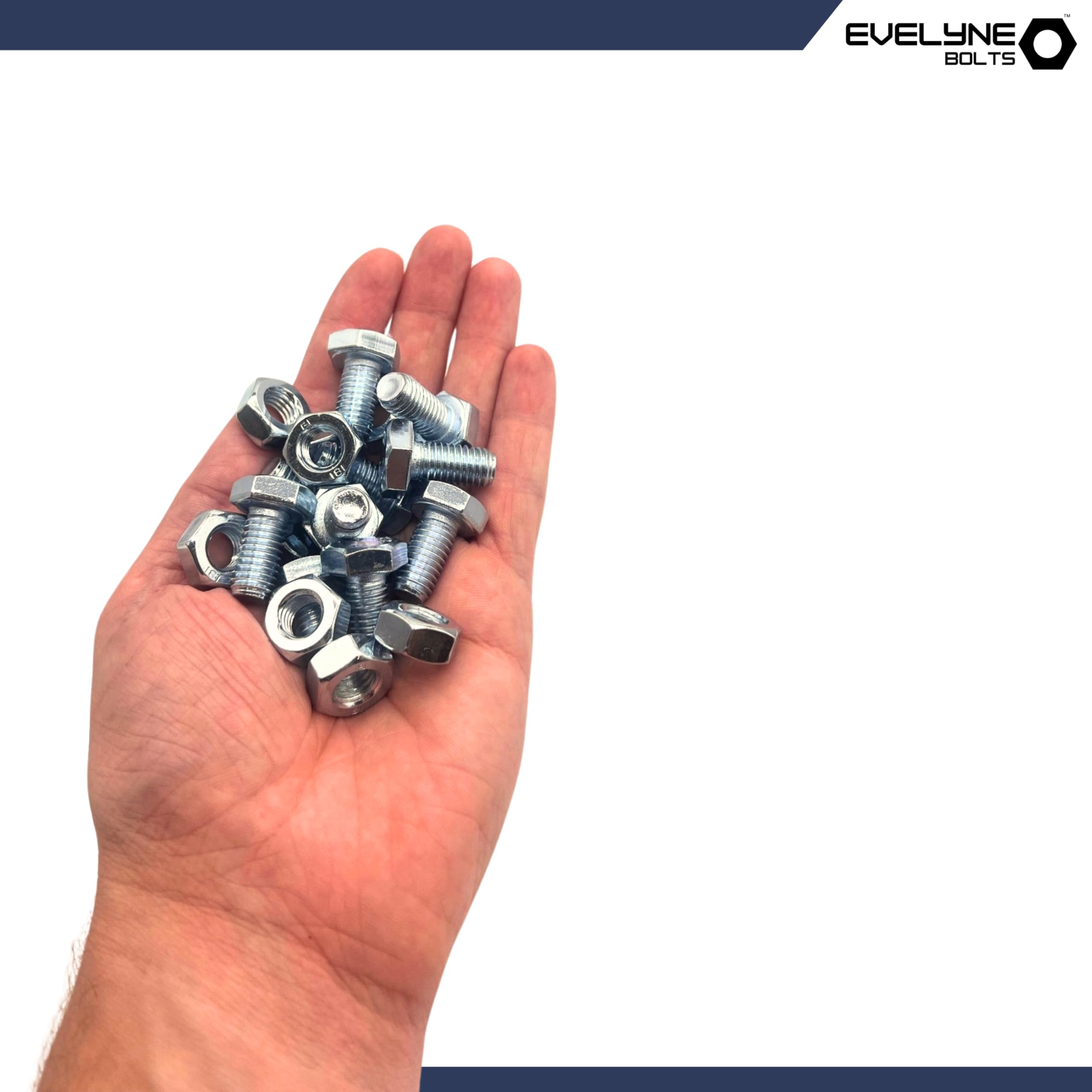 120 Da Coach Carrello Coppa Quadrata Bullone 6MM By 150MM Fully - Foto 4