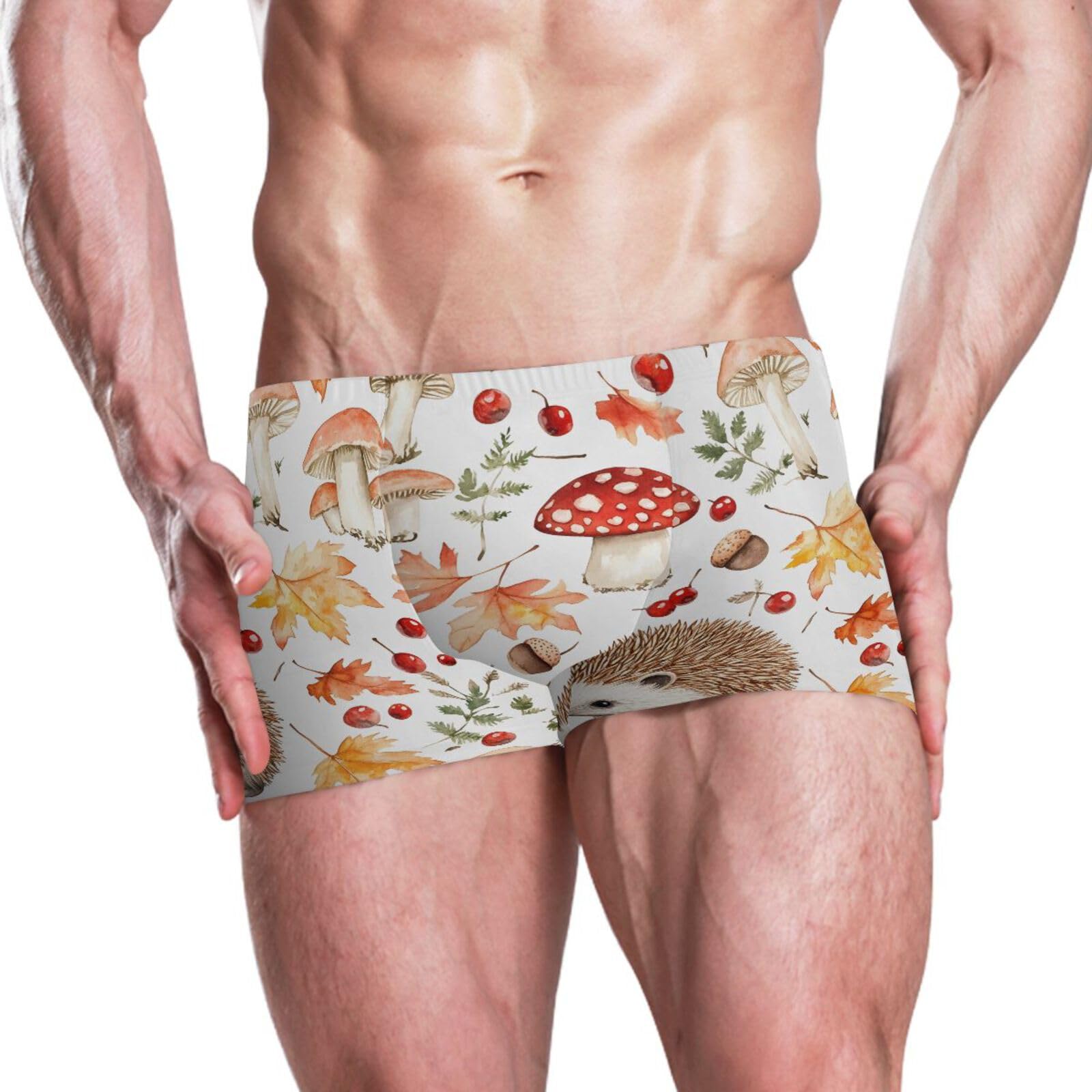 UMIRIKO Cute Hedgehog Fall Leaves Men's Swim Trunk Square Leg Swimsuit Swimwear Swim Briefs for Men 2XL 202b9044