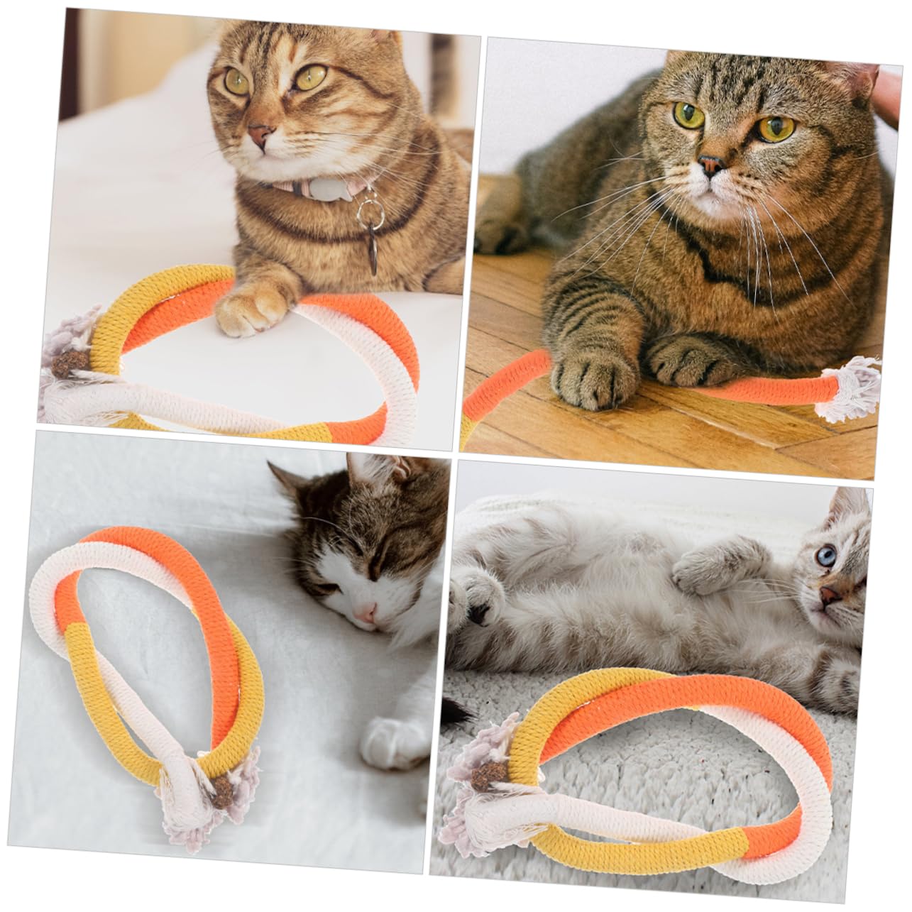 POPETPOP 20 Pièces Corde à mâcher pour Chat Interactive Cat Toy Catnip Jouets pour Chats grincements de Dents de Chat Jouets Mordre Jouet pour Animaux de Compagnie Menthe