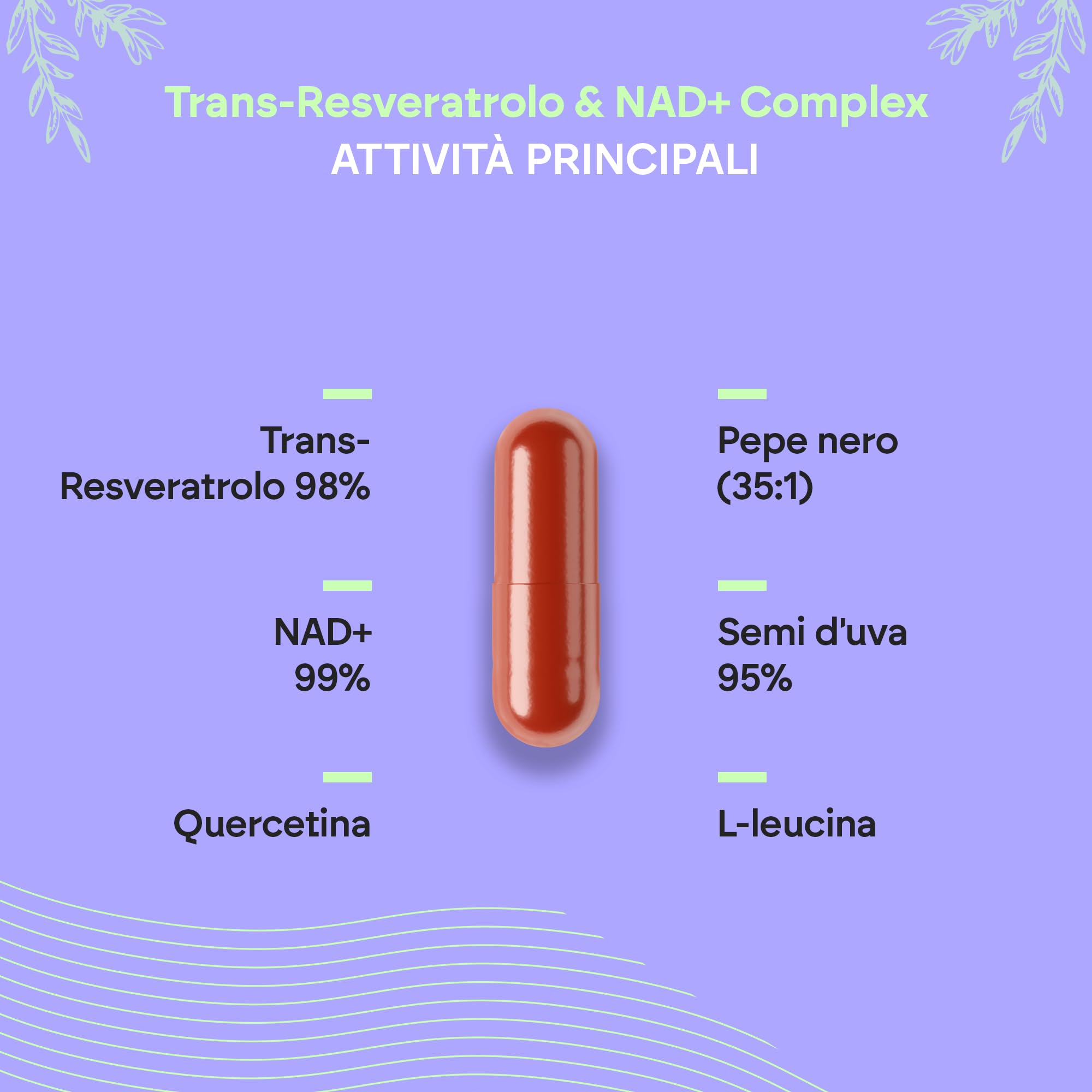 Trans Resveratrolo NAD+ 686mg Complex - Quercetina Piperina Semi d'Uva (OPC) L-Leucina - Integratore Resveratrolo - 60 Capsule Nutralie
