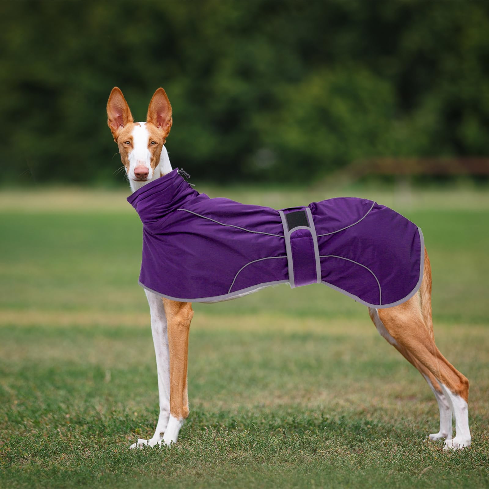 CTomche Dog Winter Coat Reflective Waterproof, Dog Jacket with Warm Fleece Lining - Image 4