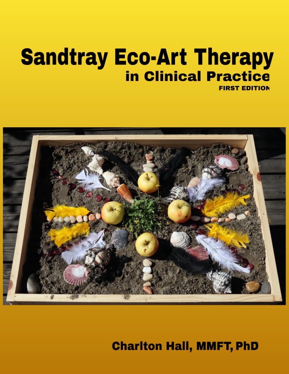 Sandtray Eco-Art Therapy in Clinical Practice