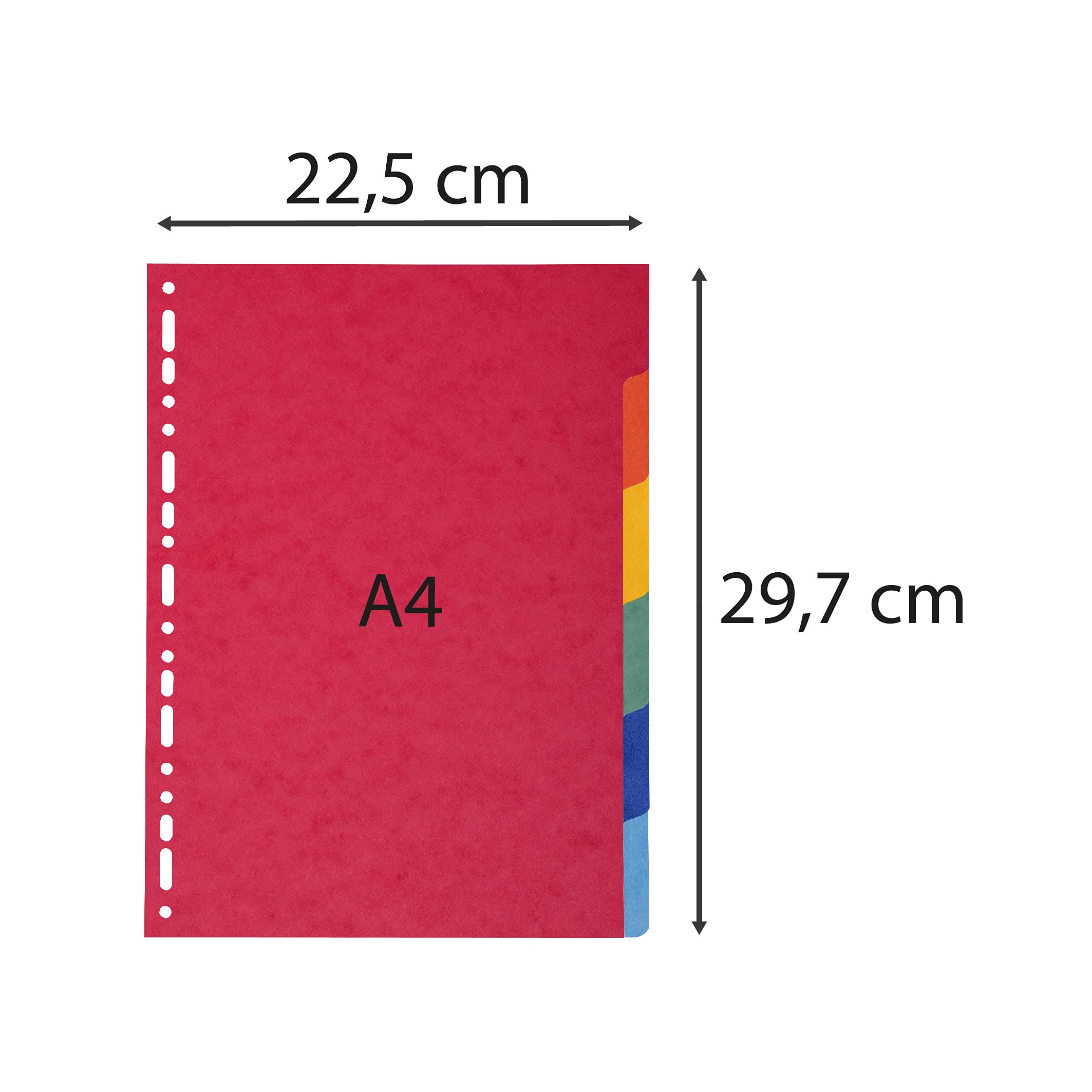 Image secondaire de Exacompta - Réf. 2006E - Intercalaires en carte coloris vifs recyclée 220g/m2 avec 6 onglets neutres - Format à classer A4 - Dim