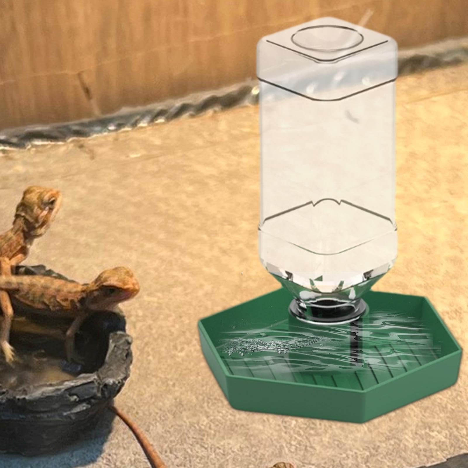 Dispensador de agua para reptiles, accesorios de alimentación de lagartos, cuenco de agua desmontable para tortugas, dragones barbudos y lagartijas