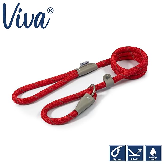 Foto 3 de 5 de Ancol Viva - Cuerda Reflectante y Correa de Piel auténtica, 120 x 1,2 cm, Color Rojo