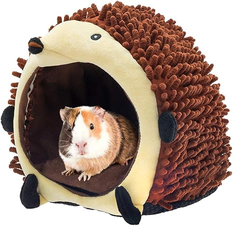 amazon guinea pig bed