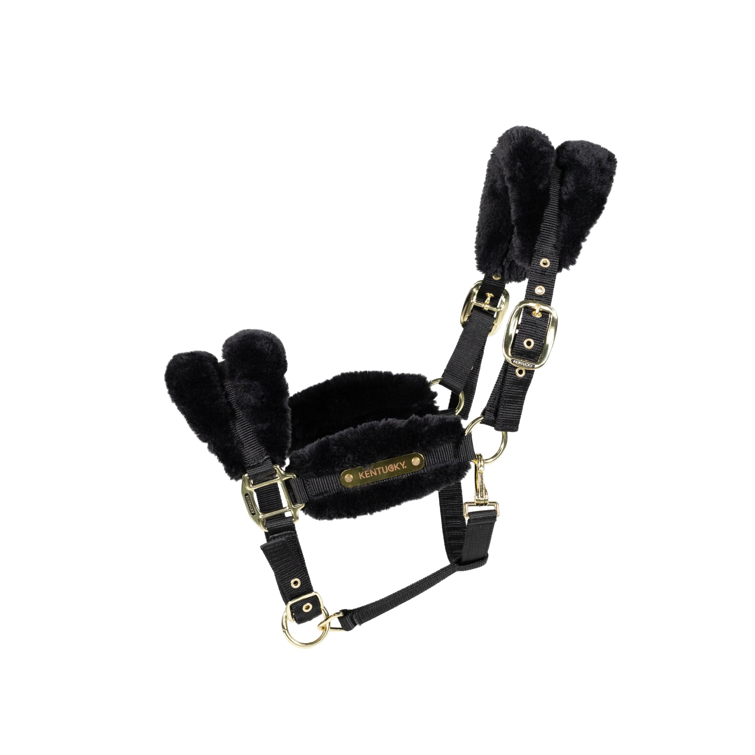 Kentucky - Halfter COB - Schwarz - Vegane Wolle