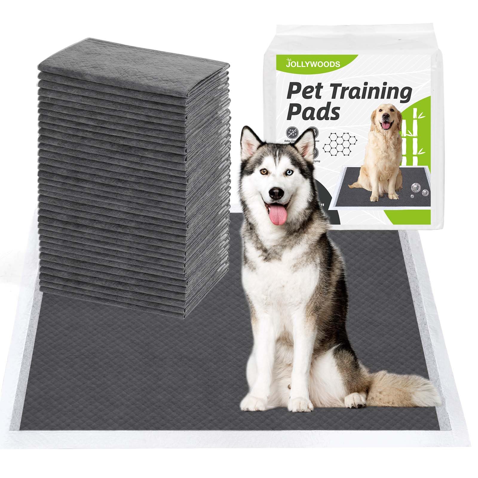 Alèse pour chien Jollywoods idéale pour la propreté en appartement