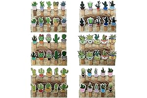 SaktopDeco Mini Cactus Wooden Clothespins with Jute Twine: Adorn Your Space with Floral Cuteness