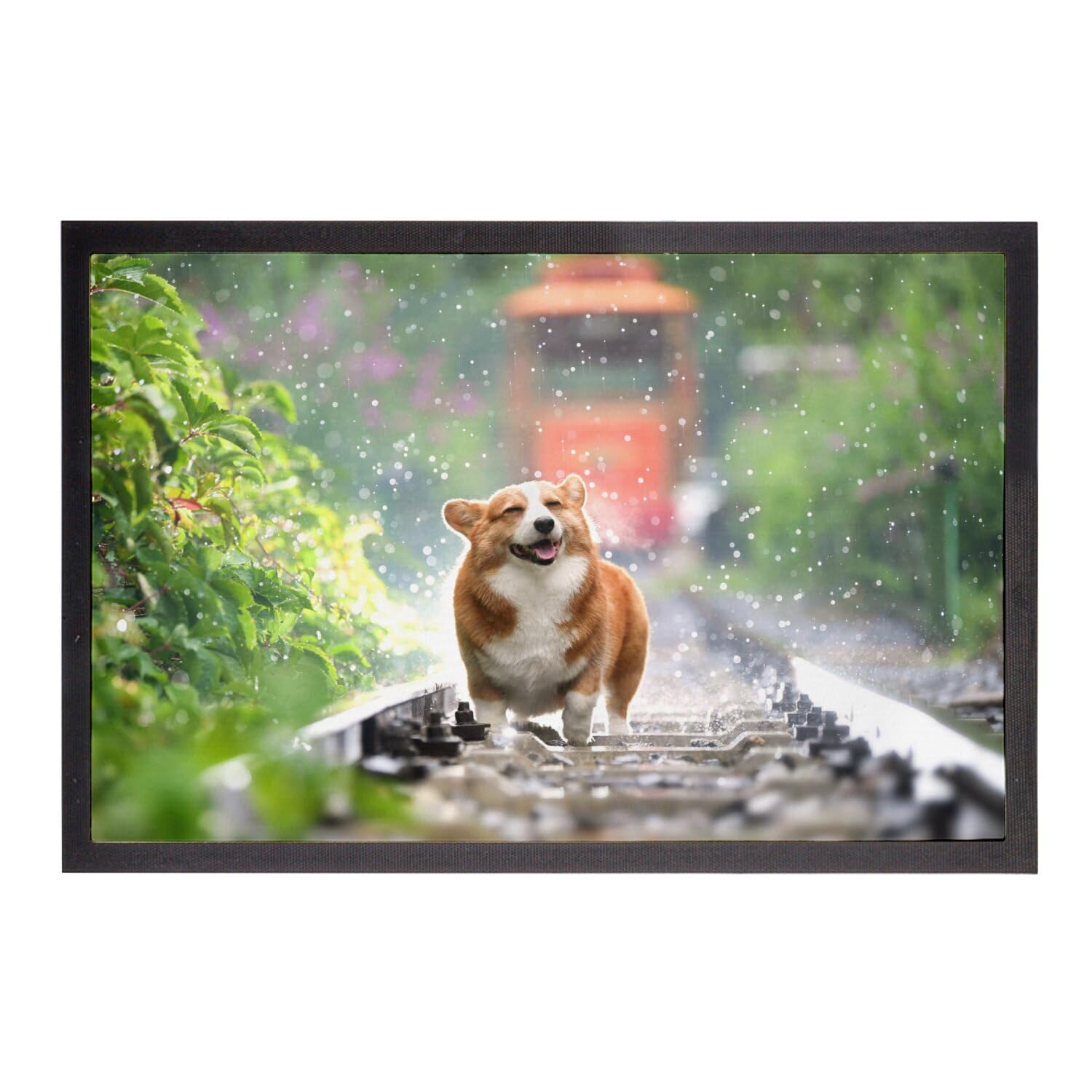 Paillasson Welsh Corgi grand tapis entrée petit chien mignon 75x50