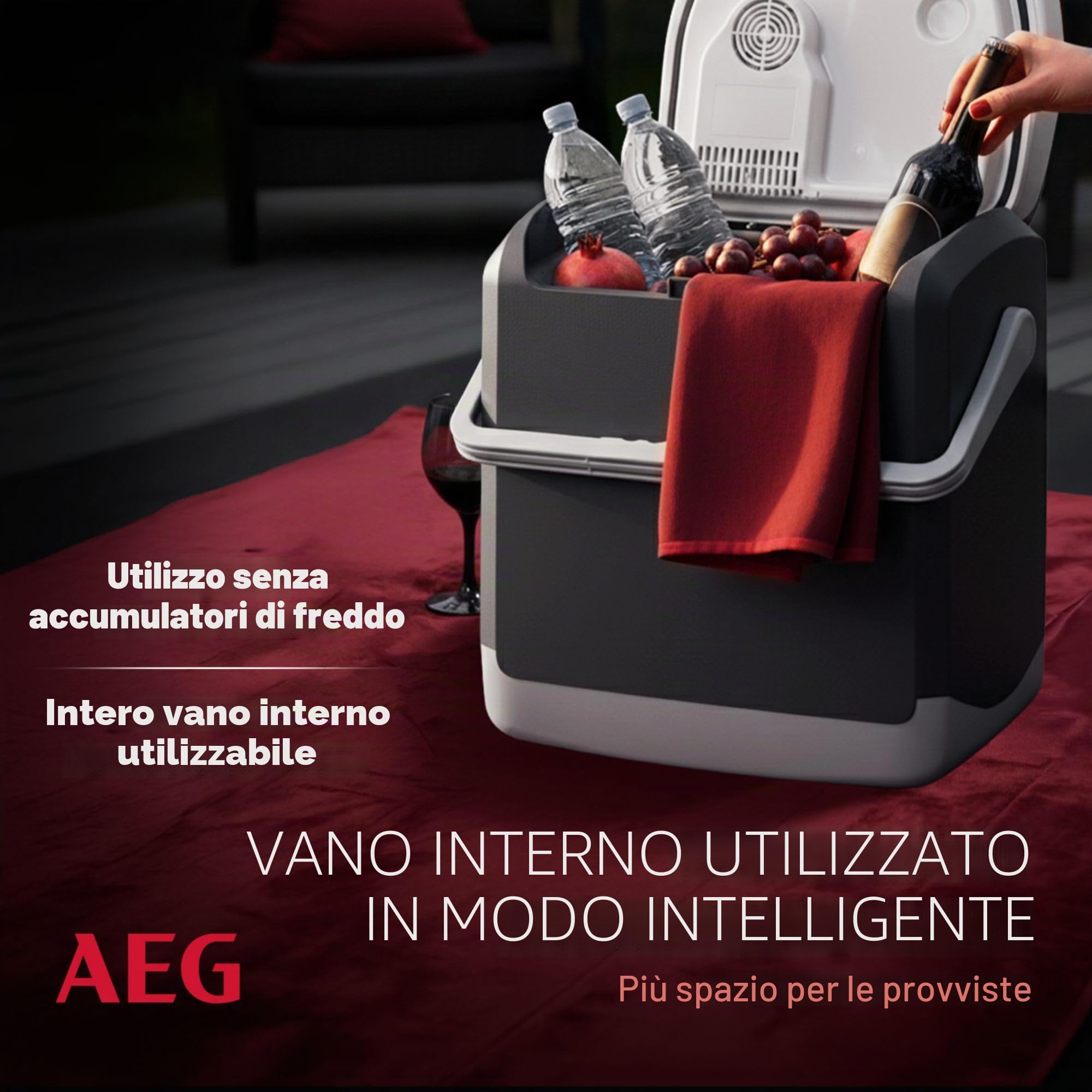 AEG Automotive Thermoelectric Cool Box KK 20 Litri, 12/230 Volt per Auto e Presa, Grigio