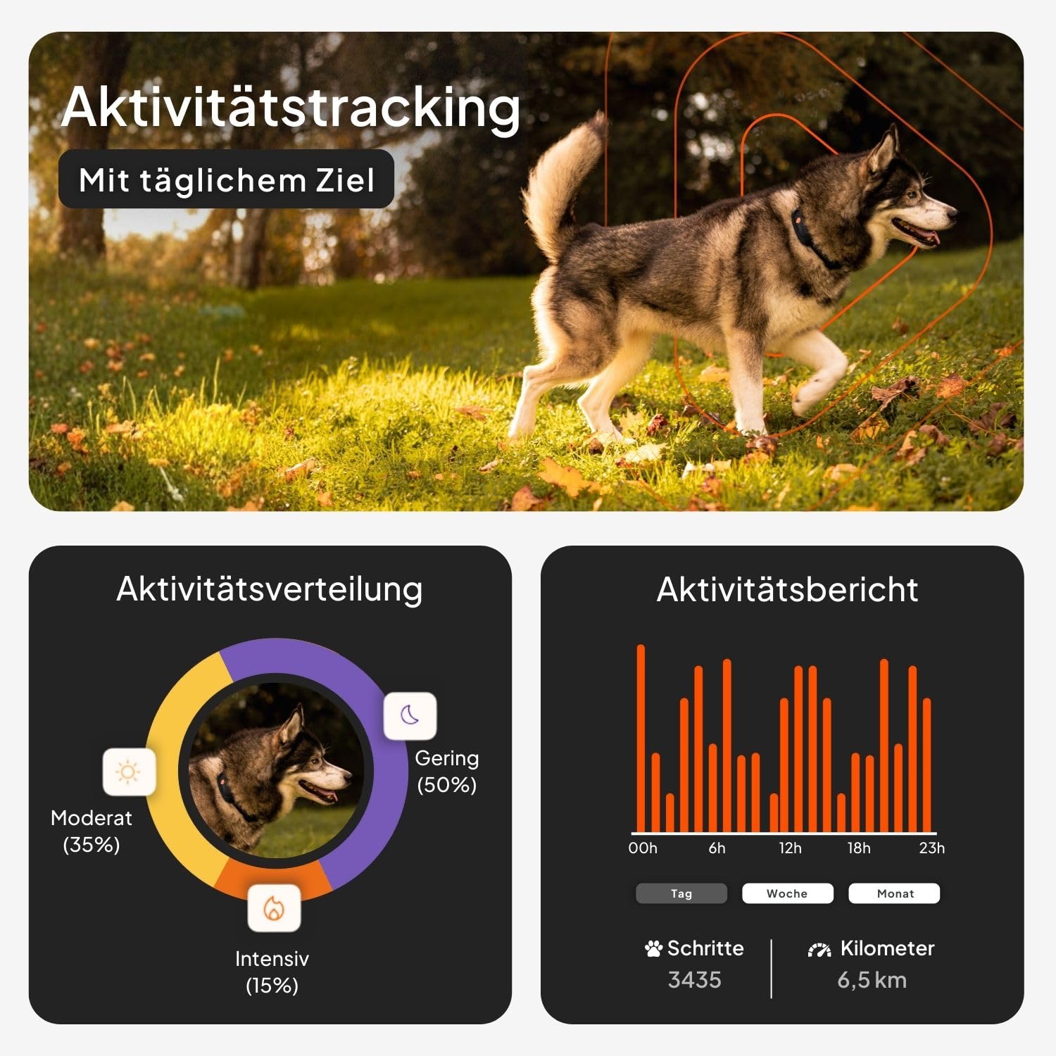 Weenect Hund XT - GPS-Tracker für Hunde Ohne Halsband | Wasserdicht | XL-Antenne | Unbegrenzte Reichweite Abonnement Erforderlich