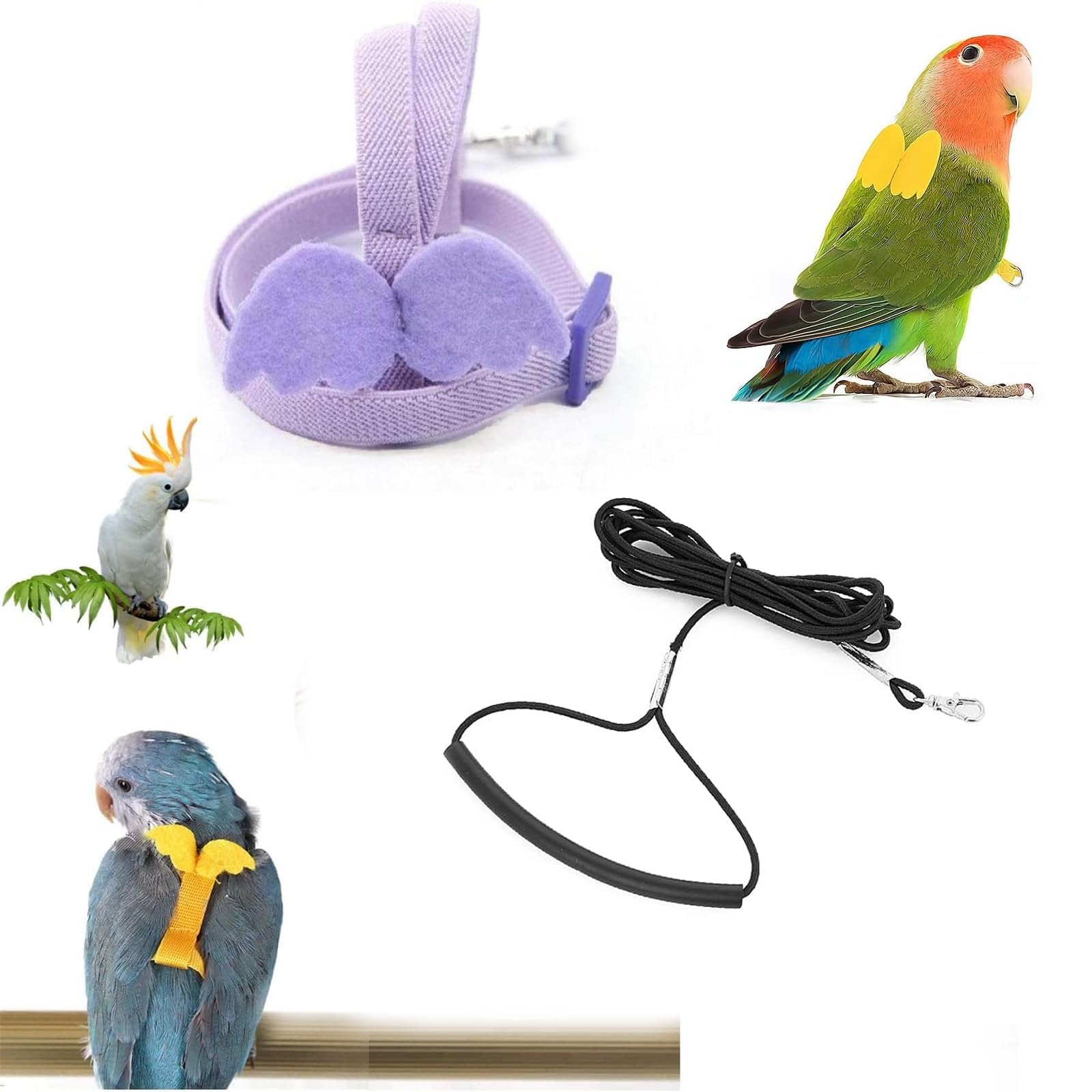 AzoneeBird Harness, Adjustable Parrot Leash Flying Rope Straps Outdoor Training Traction Rope for Small Parrots,with Cute Wing for Small Parrots, S (Purple)