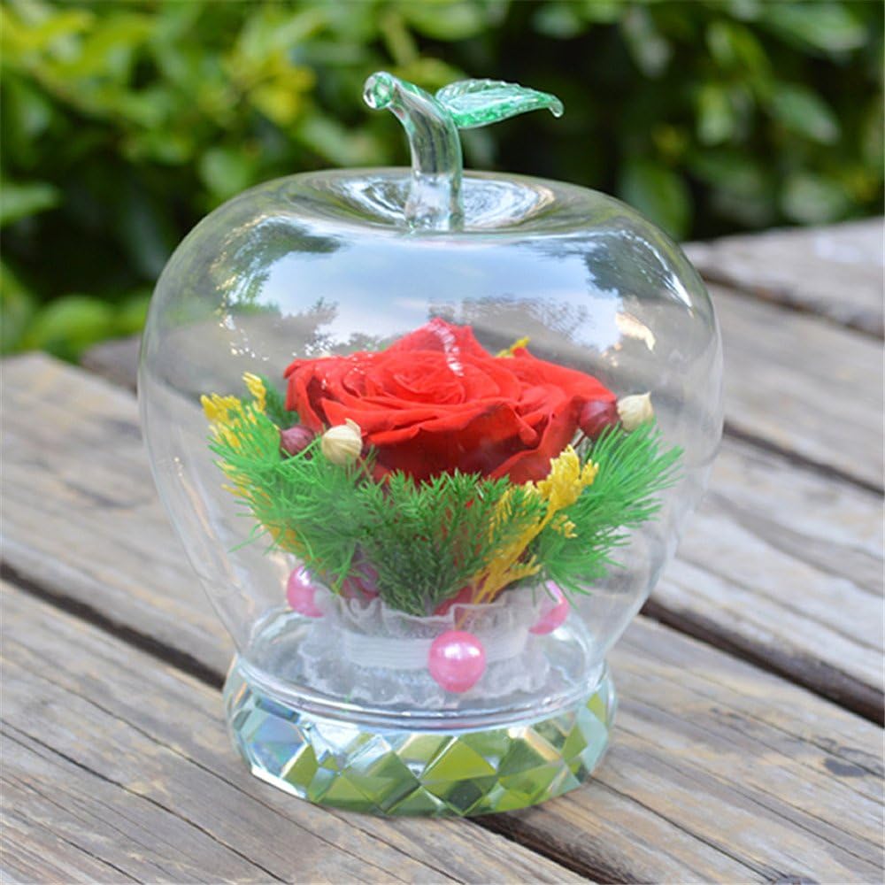 Preserved Fresh Eternal Flower Never Withered Last a lifetime Glass cover Glass Box Perfect Gift for anniversaries,Valentine 's Day,Mother's Day,birthdays or Christmas,D-Apple Bottle Red