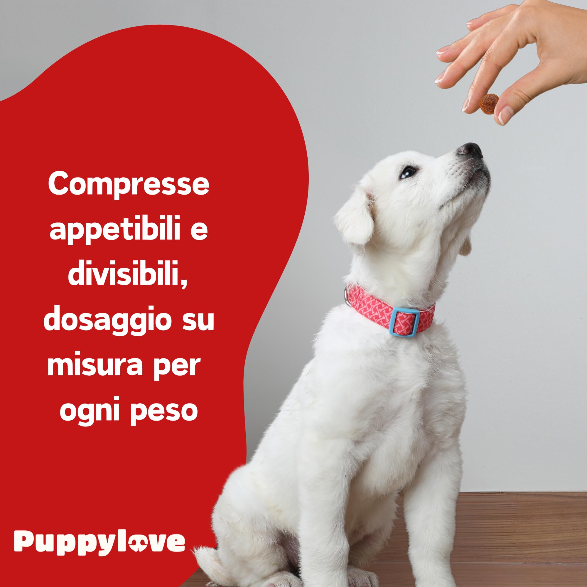 Puppylove Digestion Boost – Fermenti Lattici per Cani e Per Gatti - 100 Compresse – Probiotici e Prebiotici - Supporto Digestivo Naturale – Formula Adatta a Cani e Gatti di Tutte le Taglie