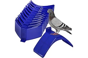 Coloch Dove Perch: Essential Perching Solution for Pigeons and Birds